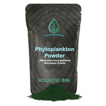 Pó de Fitoplâncton Marinho Holistic Bin Vegan Omega 3 - 50g