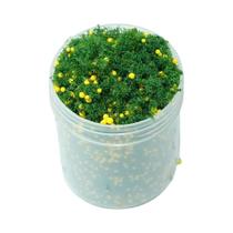 Pó De Grama Simulada De 50ml 1-3mm Para DIY Em Modelos De Treinamento Militar E Cenários De Mesa De