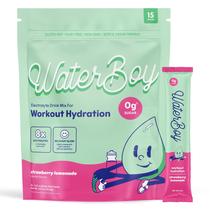 Pó de hidratação Waterboy Workout Sugar Free Electrolyte