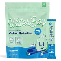 Pó de hidratação Waterboy Workout Sugar Free Electrolyte