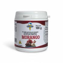 Pó para Gelados Comestíveis Sabor Morango 100g - Du Porto Pó para Gelados Comestíveis Sabor Morango 100g - Du Porto