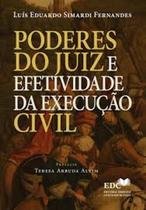 Poderes do Juiz e efetividade da Execução Civil
