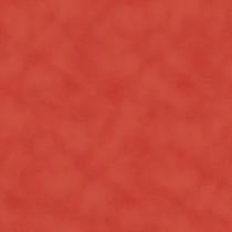 Poeirinha Laranja Coleção Verão Poeirinha Laranja Coleção Verão