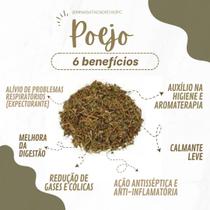 Poejo para chá 100 gramas puro Poejo para chá 100 gramas puro