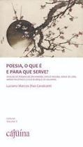 Poesia, o Que É e para Que Serve: Análise de Poemas de Drummond, Emílio Moura, Jorge de Lima, Mário - Editora Cajuína