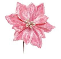 Poinsetia reg/our (flores cabo curto) c/1 un Poinsetia reg/our (flores cabo curto) c/1 un