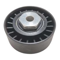 Polia Auxiliar Peugeot 206 207 Renault Megane Laguna