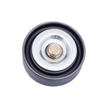 Polia Do Alternador - Boxer 1999 A 2009 / Daily 1997 A 2007 / Ducato 1998 A 2009 / Jumper 2001 A 2009 - 1316