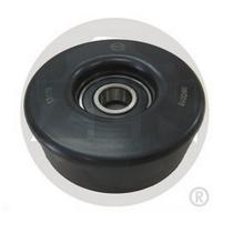 Polia tensora alternador Mondeo 1.8 e 2.0 / Troller T5 3.0 - ZEN