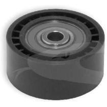 Polia tensora Peugeot Hoggar 2010 a 2014 PRO AUTOMOTIVE