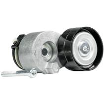 Polia tensora Renault Duster 2011 a 2020 COBRA 1175