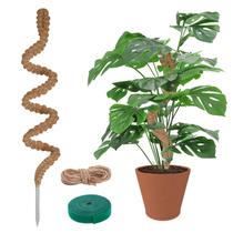 Pólo de musgo para plantas YOGINGO Monstera 120cm Coco Coir