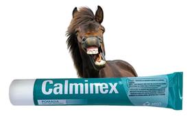 Pomada Calminex 100g Dores E Pancadas - Msd Pomada Calminex 100g Dores E Pancadas - Msd