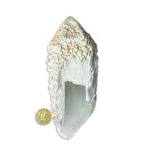 Ponta Cristal Bruto Quartzo Vela Natural Tipo A 130 a 140 mm 405 g Ponta Cristal Bruto Quartzo Vela Natural Tipo A 130 a 140 mm 405 g