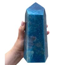 PONTA TROLLEITE (TAMANHO EXTRA) 1600 g PONTA TROLLEITE (TAMANHO EXTRA) 1600 g