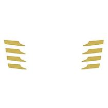 Pontas Grade Aplique Para Scania NTG R/S Dourado