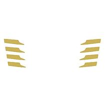 Pontas Grade Aplique Para Scania NTG R/S Dourado Pontas Grade Aplique Para Scania NTG R/S Dourado