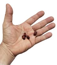 Ponteira De Madeira Conta Continha Semente Pintada C/50 Unidades