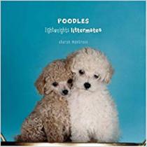 Poodles Poodles