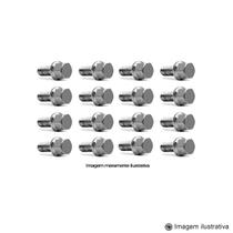 Porca Corcel I II III / Del Rey / Belina / Pampa Vazada - 12 Pecas Cromada