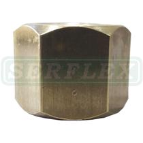 Porca para entrada de oxigênio cilindro Porca para entrada de oxigênio cilindro