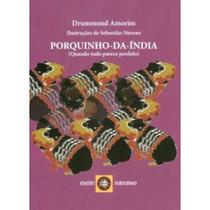 Porquinho-da-india - DUBOLSINHO