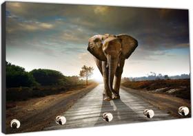 Porta Chaves Elefante Animais - Vital Quadros Do Brasil
