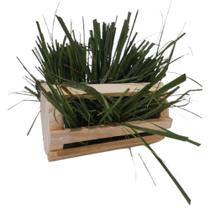 Porta Feno Madeira Pinus e Bolacha Natural de Sisal Para Coelhos e Roedores Kit Com 2 Unidades