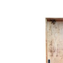 Porta Interna Pinus Marco 18,5 Cm / 60 - Direita