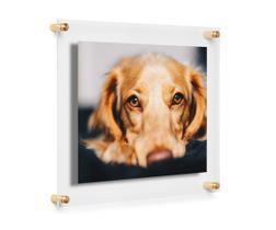 Porta-retratos Cool Modern Frames, painel duplo de acrílico de 20x25cm Porta-retratos Cool Modern Frames, painel duplo de acrílico de 20x25cm