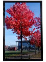 Porta-retratos Medog Black para pendurar fotos na parede de 9 x 12 polegadas