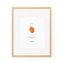 Porta-retratos TONS FRAME DESIGN DE MOLDURA: madeira maciça de carvalho 11x14 com tapete