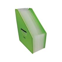 Porta Revista Sanfonado Yes 12 Divisões Verde