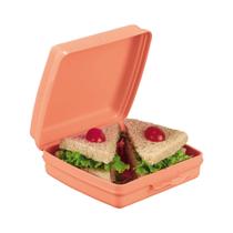 Porta sanduíche infantil quadrado liso da tupperware