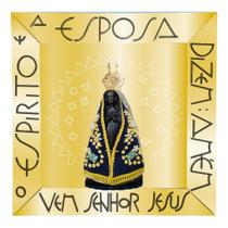 Porta Santa Imagem Nicho Oratório Espelhado Norte Capela Nossa Senhora Aparecida Porta Santa Imagem Nicho Oratório Espelhado Norte Capela Nossa Senhora Aparecida