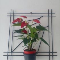 Porta vaso metal Porta vaso metal