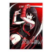 Pôster Akames ga Kills Anime Art 30x40cm em papel Pôster Akames ga Kills Anime Art 30x40cm em papel
