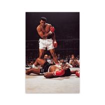 Pôster Anime Art Boxers Family Home Decor, papel 40x50cm