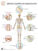 Pôster Articulações do esqueleto - Body Scientific