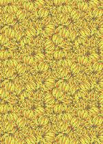 Pôster Bananada Pôster Bananada