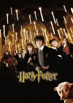 Poster Cartaz Harry Potter e a Câmara Secreta D - Pop Arte Poster