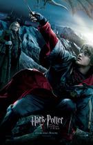 Poster Cartaz Harry Potter e o Cálice de Fogo C