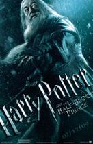 Poster Cartaz Harry Potter e o Enigma do Príncipe C