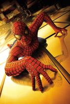 Poster Cartaz Homem Aranha Spider-man B