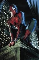 Poster Cartaz Homem Aranha Spider-man C