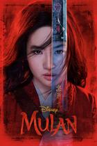 Poster Cartaz Mulan A
