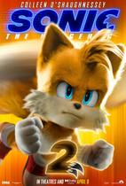 Poster Cartaz Sonic 2 O Filme F