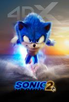 Poster Cartaz Sonic 2 O Filme H