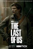 Poster Cartaz The Last Of Us D Serie