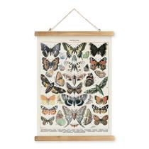 Pôster de arte de parede MIDEFINCH Vintage Butterfly 40x60cm com moldura